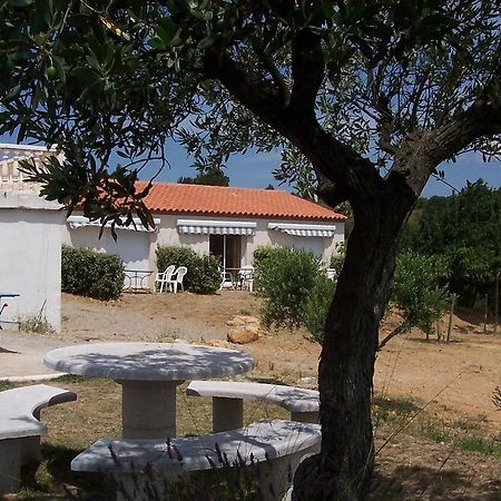 Le Fenouillet Chambres D'Hotes Proche Des Grands Buffets Ναρμπόν Εξωτερικό φωτογραφία